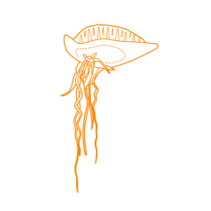 Animals Jellyfish Portuguese Man O War Sticker Outline Svg File, Free Vectors File